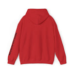 Copy of DREAM BIG WORK HARD Hoodie